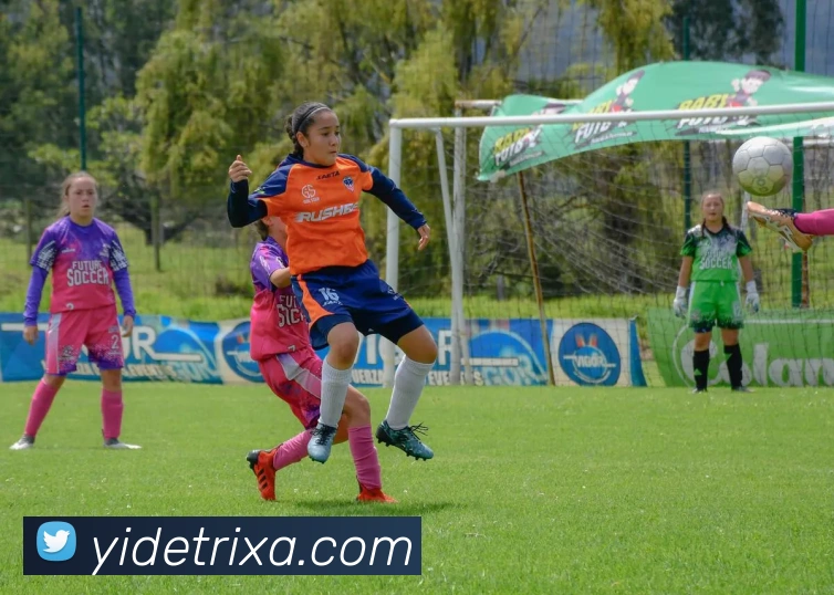 亿德体育全站App